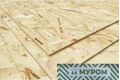 ОСП-3 2500*1250*9мм Муром