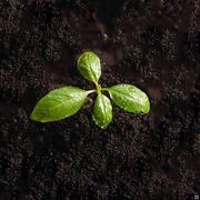 Камаз-самосвал объем до 10м3